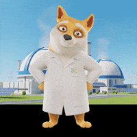 Shiba Inu Dog GIF by Doge Pound