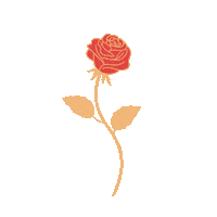 Beauty Love Sticker by Chantel Sanchez