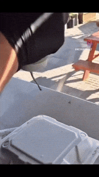 Bodega Too Much Sauce GIF by Respective