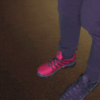 Bug Insect GIF
