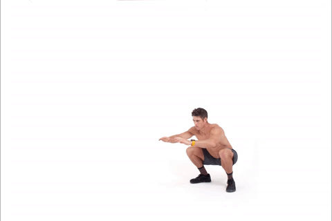 speedshred GIF
