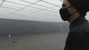 Musicvideo Gvf GIF by Greta Van Fleet