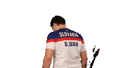 spvparalympic david olympic ivan paris2024 Sticker