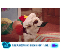 dog with a blog GIF by Disney Channel