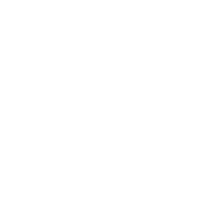 Green Laser Construction Sticker by REEKON Tools