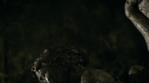 weeping angels GIF by Doctor Who