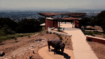Bay Area California GIF by Oakland Zoo
