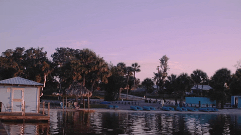 FIU giphygifmaker summer nature calm GIF