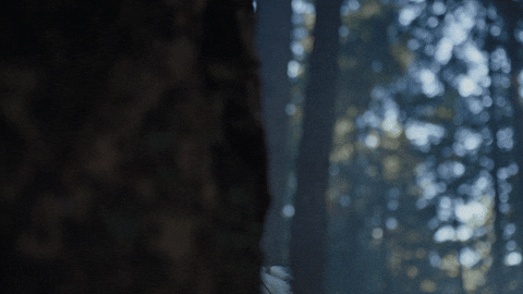 Tatiana Maslany Horror GIF by NEON