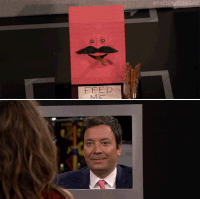 tonight show nbc GIF by The Tonight Show Starring Jimmy Fallon