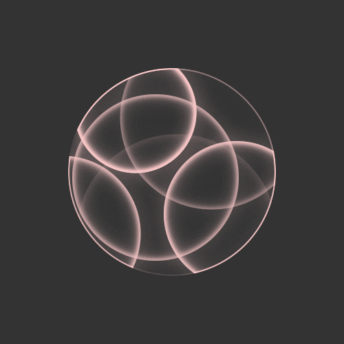 GIF by Borrachas