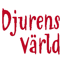 Dvhalmstad Sticker by Djurens Värld Halmstad