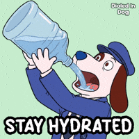 Stay Hydrated Drink Water GIF by VeeFriends