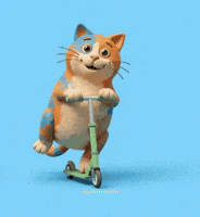 Cute Cat Scooter GIF