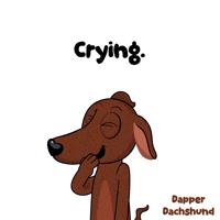 Fun Lol GIF by VeeFriends