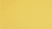 jazz hands spirit fingers GIF by Mailchimp