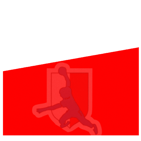 Goal Rukomet Sticker by RKPorec