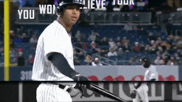 New York Yankees Sport GIF by YES Network