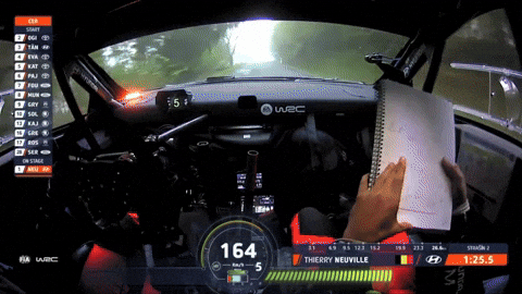 Pov Driving GIF by FIA World Rally Championship
