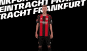 Bundesliga Shirt GIF by Eintracht Frankfurt
