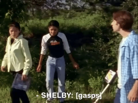 the mystery files of shelby woo nicksplat GIF