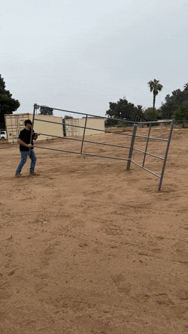redskipper19 giphyupload GIF