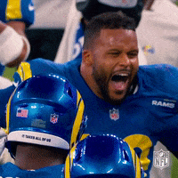 Regular Season Football GIF by NFL