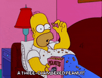 Episode 15 Peanut GIF by The Simpsons