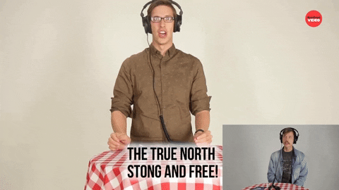 True North Canada GIF by BuzzFeed