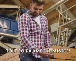 Sexy Flex GIF by Lidl Slovenija