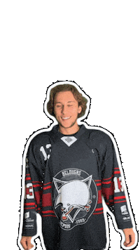 Hockey Toulouse Sticker by Bélougas