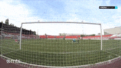 Partizan GIF by sportmts