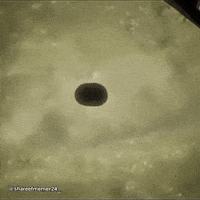 Sad Naruto GIF