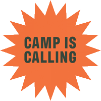Ccsummercamp Sticker by Create Cultivate