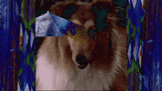 Mikal Cronin Seeker GIF by Merge Records