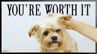 GIPHY PSA You're Worth It
