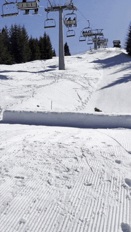 bonebinding crail bone binding GIF