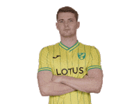 Premier League Soccer Sticker by Norwich City Football Club