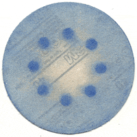 animation artists on tumblr GIF by Liaizon Wakest