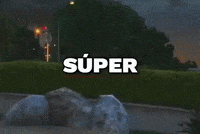 Xd Locos GIF