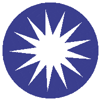 Logo Star Sticker by Bim Bam Gallery