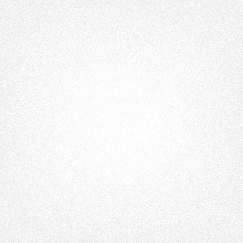 socialliger  GIF
