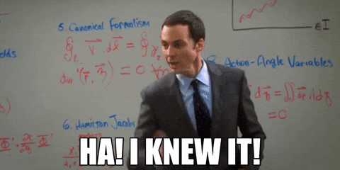 The Big Bang Theory Sheldon GIF by LittleOmig