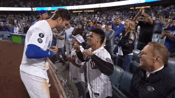 Wild Card Friends GIF by MLB