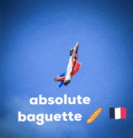 Avion__spotting france baguette rafale dassault GIF