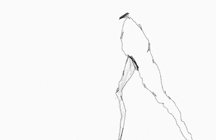 submission GIF by The Savannah .GIF Festival