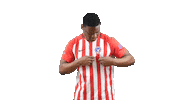 Football Soccer Sticker by Gulf United FC