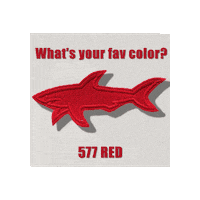 Color Shark Sticker by Paul&Shark