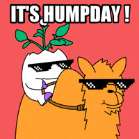 Wednesday Morning Sunglasses GIF by Magic Eden