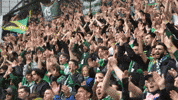 Geoffroy-Guichard Fans GIF by AS Saint-Étienne
